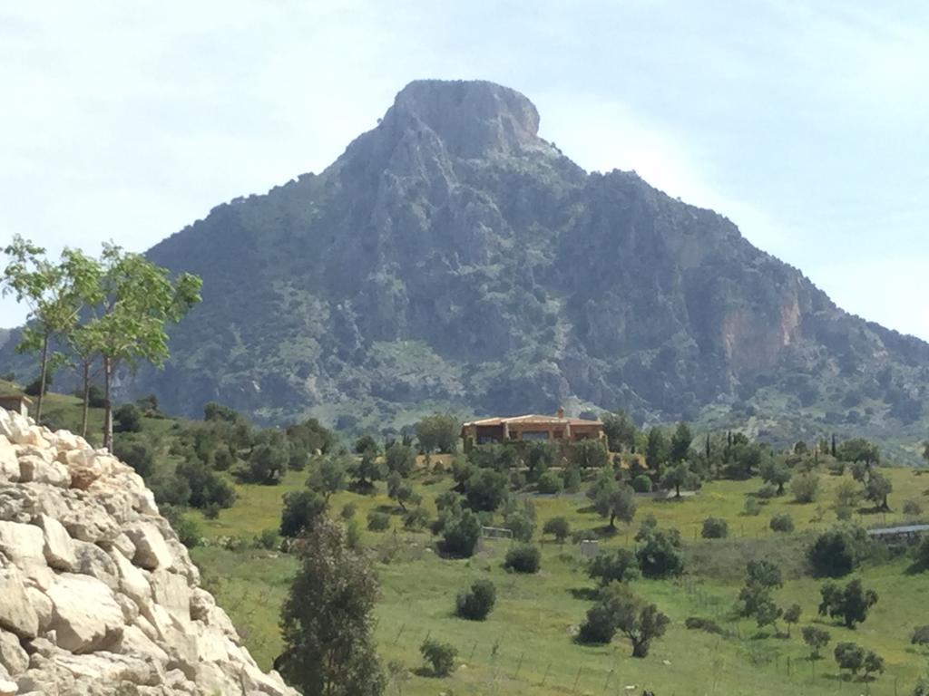 Bed and Breakfast Los Cazadores El Gastor Exterior foto